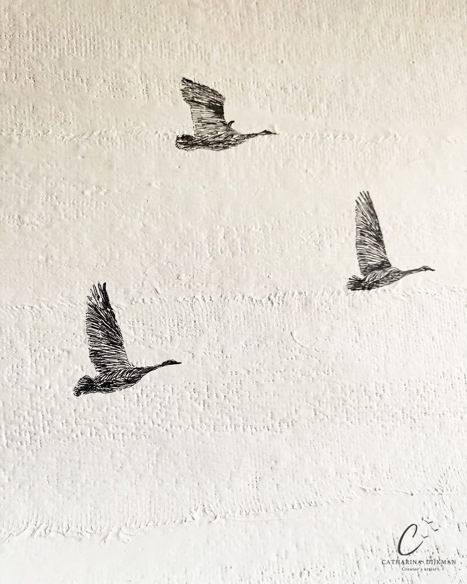 Birds of the Air (1)